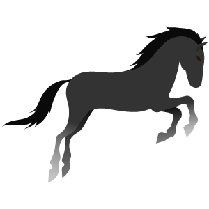 Dancing Horse Stable & Training